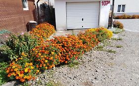 Apartament Willa Jacuu